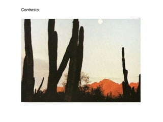 Contraste
 