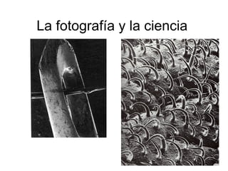 La fotografía y la ciencia
 