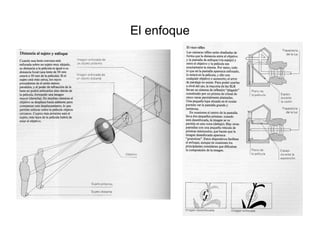 El enfoque
 