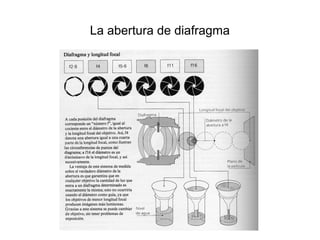 La abertura de diafragma
 