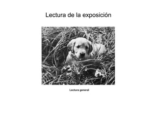 Lectura de la exposición
Lectura general
 