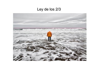 Ley de los 2/3
 