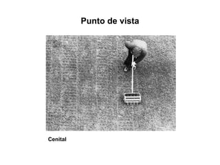 Punto de vista
Cenital
 