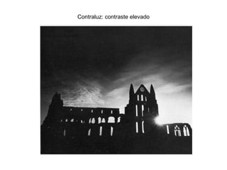 Contraluz: contraste elevado
 