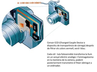 Censor CCD (Changed Couple Device o
dispositiu de transparència de càrrega) després
de filtrar els colors vermell, verd i blau.

Cada cèl · lula fotosensible transforma la llum
en un senyal elèctric analògic i l'emmagatzema
en la memòria de la càmera, podent
posteriorment transmetre el fitxer obtingut a
un ordinador.
 