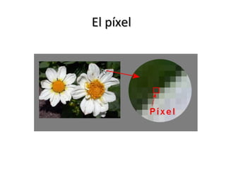 El píxel
 