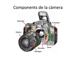 Components de la càmera
 