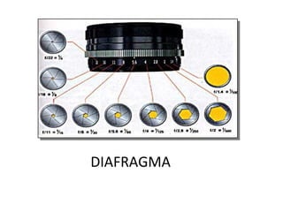 DIAFRAGMA
 