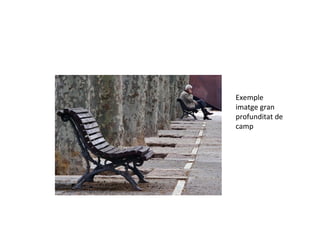 Exemple
imatge gran
profunditat de
camp
 