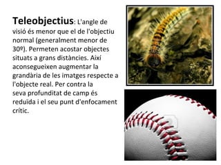 Teleobjectius: L'angle de
visió és menor que el de l'objectiu
normal (generalment menor de
30º). Permeten acostar objectes
situats a grans distàncies. Així
aconsegueixen augmentar la
grandària de les imatges respecte a
l'objecte real. Per contra la
seva profunditat de camp és
reduïda i el seu punt d'enfocament
crític.
 