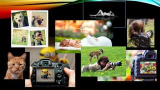 La fotografia