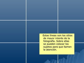 Estas líneas son los sitios
de mayor interés de la
fotografía. Sobre ellas
se pueden colocar los
sujetos para que llamen
la atención.
 