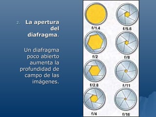 2.   La apertura
             del
      diafragma.

  Un diafragma
    poco abierto
     aumenta la
 profundidad de
   campo de las
      imágenes.
 
