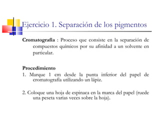 Ejercicio 1. Separación de los pigmentos
Cromatografía : Proceso que consiste en la separación de
compuestos químicos por su afinidad a un solvente en
particular.
Procedimiento
1. Marque 1 cm desde la punta inferior del papel de
cromatografía utilizando un lápiz.
2. Coloque una hoja de espinaca en la marca del papel (ruede
una peseta varias veces sobre la hoja).
 