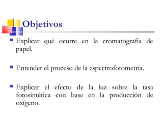 Objetivos
 Explicar qué ocurre en la cromatografía de
papel.
 Entender el proceso de la espectrofotometría.
 Explicar el efecto de la luz sobre la tasa
fotosintética con base en la producción de
oxígeno.
 