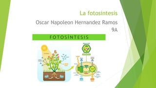 Oscar Napoleon Hernandez Ramos
9A
La fotosintesis
 