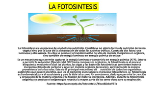 LA FOTOSINTESIS
La fotosíntesis es un proceso de anabolismo autótrofo. Constituye no sólo la forma de nutrición del reino
vegetal sino por la base de la alimentación de todas las cadenas tróficas. Consta de dos fases: una
luminosa y otra oscura. En ellas se produce la transformación no sólo de materia inorgánica en orgánica,
sino también de energía luminosa en energía química de enlace
Es un mecanismo que permite capturar la energía luminosa y convertirla en energía química (ATP). Esto va
a permitir la reducción (fijación) del CO2 hasta compuestos orgánicos, la fotosíntesis es el proceso
bioquímico mediante el cual las plantas, las algas y las bacterias fotosintéticas convierten materia
inorgánica(dióxido de carbono y agua) en materia orgánica (azúcares), aprovechando la energía
proveniente de la luz solar. Este es el principal mecanismo de nutrición de todos los organismos
autótrofos que poseen clorofila, que es el pigmento esencial para el proceso fotosintético ,la fotosíntesis
es fundamental para el ecosistema y para la vida tal y como los conocemos, dado que permite la creación
y circulación de la materia orgánica y la fijación de materia inorgánica. Además, durante la fotosíntesis
oxigénica se produce el oxígeno que necesita la mayor parte de los seres vivos para su respiración.
Fuente: https://concepto.de/fotosintesis/#ixzz8LbboV3Ta
 