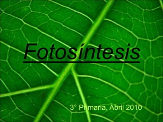 Fotosíntesis 3° Primaria, Abril 2010 