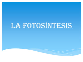 La fotosíntesis
 