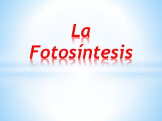 La
Fotosíntesis
 