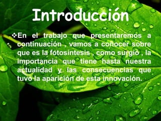 Introducción
En el trabajo que presentaremos a
continuación , vamos a conocer sobre
que es la fotosíntesis , como surgió , la
importancia que tiene hasta nuestra
actualidad y las consecuencias que
tuvo la aparición de esta innovación.
 