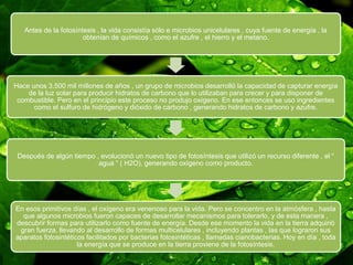 Antes de la fotosíntesis , la vida consistía sólo e microbios unicelulares , cuya fuente de energía , la
obtenían de químicos , como el azufre , el hierro y el metano.
Hace unos 3.500 mil millones de años , un grupo de microbios desarrolló la capacidad de capturar energía
de la luz solar para producir hidratos de carbono que lo utilizaban para crecer y para disponer de
combustible. Pero en el principio este proceso no produjo oxígeno. En ese entonces se uso ingredientes
como el sulfuro de hidrógeno y dióxido de carbono , generando hidratos de carbono y azufre.
Después de algún tiempo , evolucionó un nuevo tipo de fotosíntesis que utilizó un recurso diferente , el “
agua “ ( H2O), generando oxígeno como producto.
En esos primitivos días , el oxígeno era venenoso para la vida. Pero se concentro en la atmósfera , hasta
que algunos microbios fueron capaces de desarrollar mecanismos para tolerarlo, y de esta manera ,
descubrir formas para utilizarlo como fuente de energía. Desde ese momento la vida en la tierra adquirió
gran fuerza, llevando al desarrollo de formas multicelulares , incluyendo plantas , las que lograron sus
aparatos fotosintéticos facilitados por bacterias fotosintéticas , llamadas cianobacterias. Hoy en día , toda
la energía que se produce en la tierra proviene de la fotosíntesis.
 