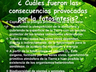 ¿ Cuáles fueron las
consecuencias provocadas
por la fotosíntesis? Captura de la energía proveniente de la luz solar.
 Transformó la composición de la atmósfera y
cubriendo la superficie de la Tierra con un escudo
protector de las letales radiaciones ultravioletas.
 Todos o casi todos los seres vivos dependen,
directa o indirectamente, de la fotosíntesis para la
obtención de sustancias orgánicas y energía
 A partir de la fotosíntesis se obtiene O2. Este
oxígeno, formado por los seres vivos, transformó la
primitiva atmósfera de la Tierra e hizo posible la
existencia de los organismos heterótrofos
aeróbicos.
 