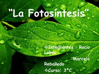 “La Fotosíntesis”
Integrantes.: Rocio
Lobos
Marcelo
Rebolledo
Curso: 3ºC
 