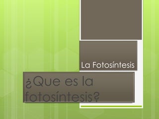 La Fotosíntesis
¿Que es la
fotosíntesis?
 