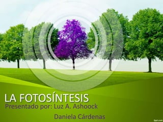 LA FOTOSÍNTESIS
Presentado por: Luz A. Ashoock
Daniela Cárdenas
 