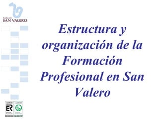 Estructura y organización de la Formación Profesional en San Valero 