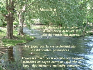 Moralité :
Ne laissez pas la peine
d’une saison détruire la
joie de toutes les autres.
Ne jugez pas la vie seulement sur
les difficultés passagères.
Traversez avec persévérance les mauvais
moments et soyez certains, que tôt ou
tard, des moments meilleurs viendront.
 