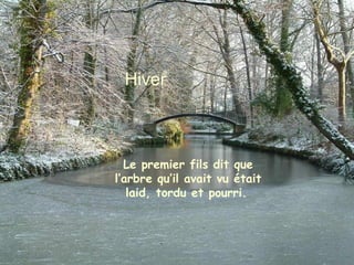 Hiver
Le premier fils dit que
l’arbre qu’il avait vu était
laid, tordu et pourri.
 