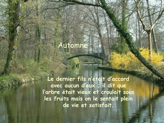 Le dernier fils n’était d’accord
avec aucun d’eux ; il dit que
l’arbre était vieux et croulait sous
les fruits mais on le sentait plein
de vie et satisfait.
Automne
 