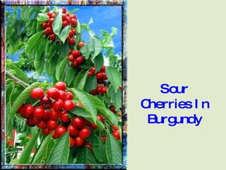Sour Cherries In Burgundy 