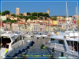Yachts In Cannes, Provence 