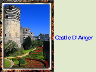 Castle D'Anger 