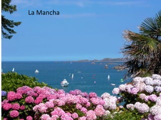La Mancha
 
