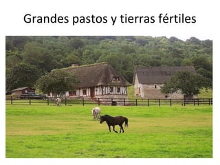 Grandes pastos y tierras fértiles
 
