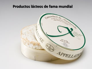 Productos lácteos de fama mundialProductos lácteos de fama mundial
 