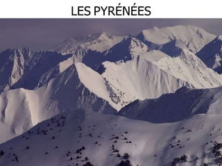 LES PYRÉNÉES
 