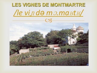
LES VIGNES DE MONTMARTRE
/le viɲ də mɔ.maʁtʁ/
 