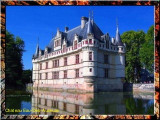 Chat eau Eau-Des-Auseuax
 