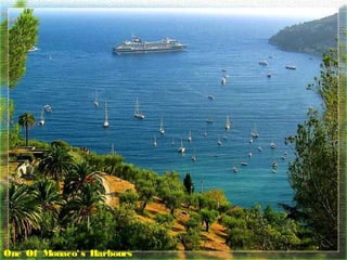 One Of Monaco' s Harbours
 