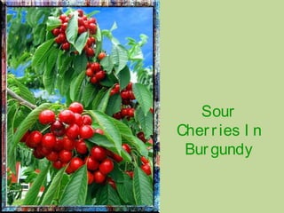 Sour
Cherries I n
Burgundy
 