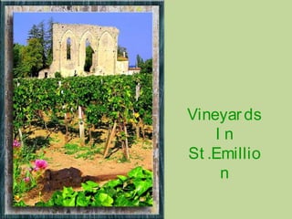Vineyards
I n
St .Emillio
n
 
