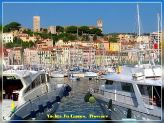 Yachts In Cannes, Provence
 