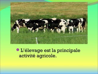 L’élevage est la principale
activité agricole.
 