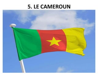 5. LE CAMEROUN
 