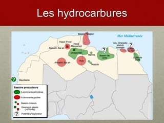 Les hydrocarbures
 